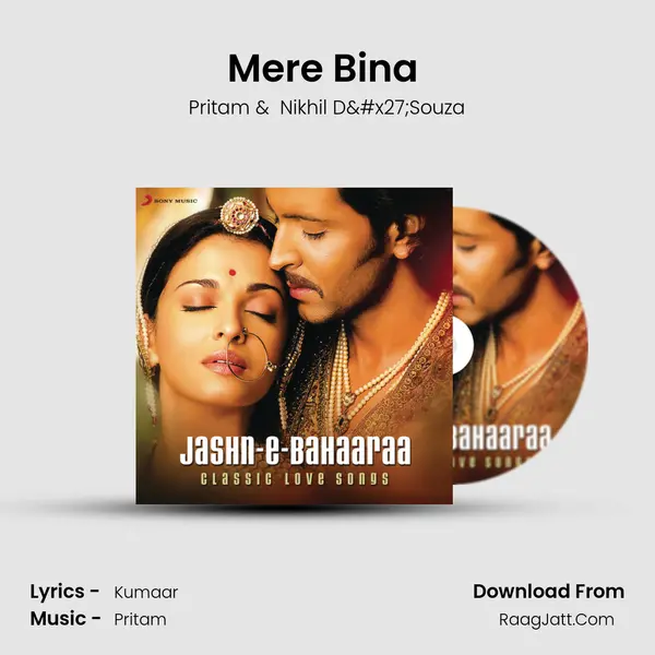 Mere Bina (From "Crook") Cover