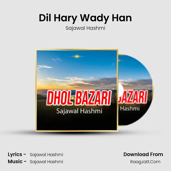 Dil Hary Wady Han mp3 song