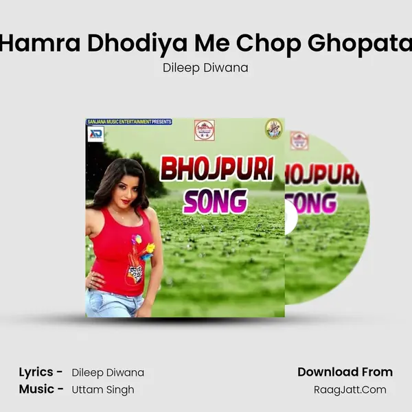 Hamra Dhodiya Me Chop Ghopata mp3 song