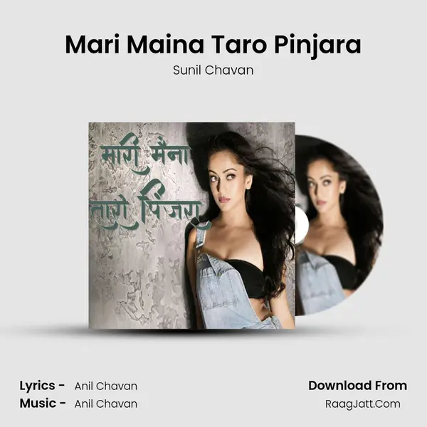 Mari Maina Taro Pinjara mp3 song