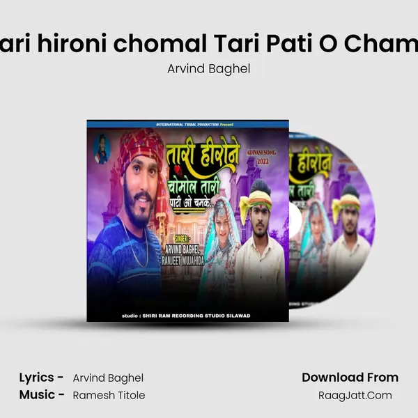 Thari hironi chomal Tari Pati O Chamke MP3 Song by Arvind Baghel Cover