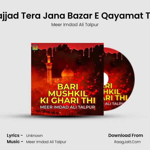 Sajjad Tera Jana Bazar E Qayamat Thi MP3 Song by Meer Imdad Ali Talpur Cover
