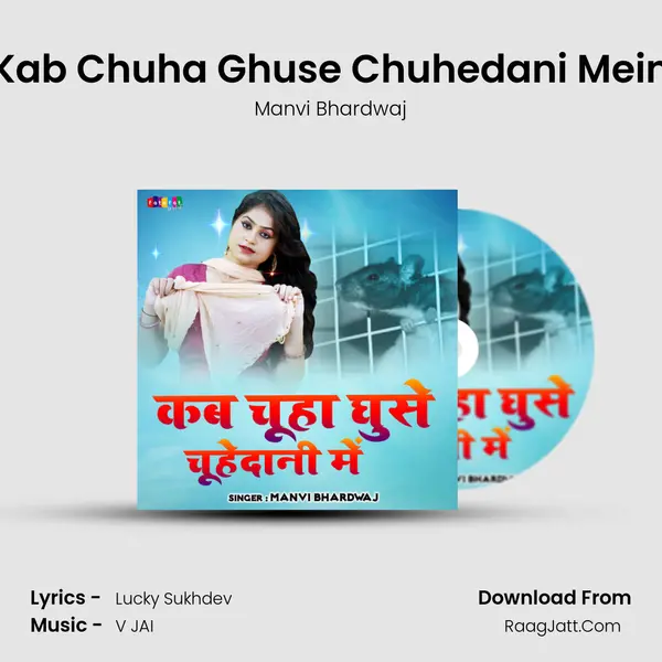 Kab Chuha Ghuse Chuhedani Mein Cover
