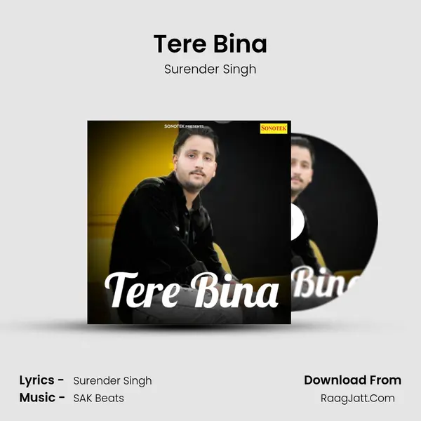 Tere Bina mp3 song