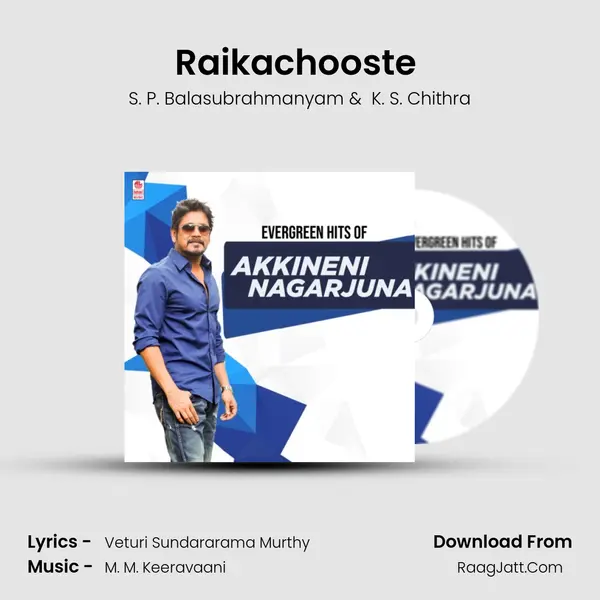 Raikachooste (From "Allari Alludu") Cover