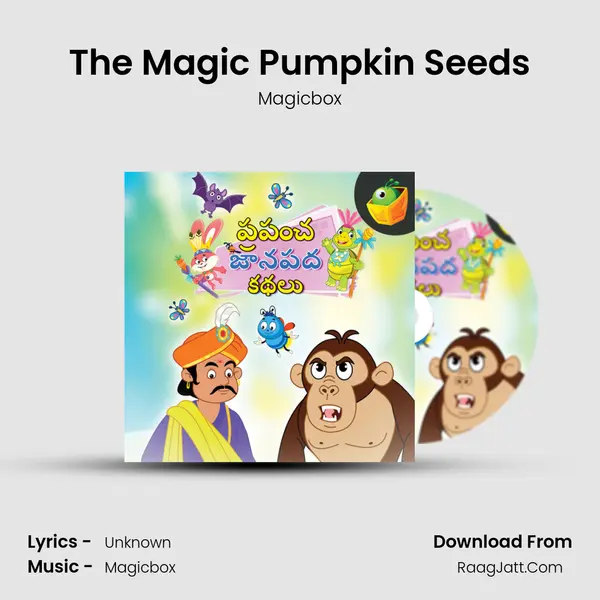 The Magic Pumpkin Seeds MP3 Song by Magicbox Cover