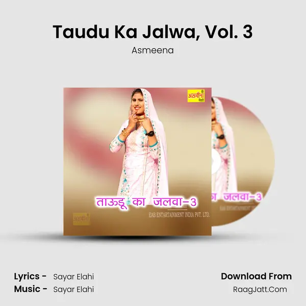 Taudu Ka Jalwa, Vol. 3 Cover
