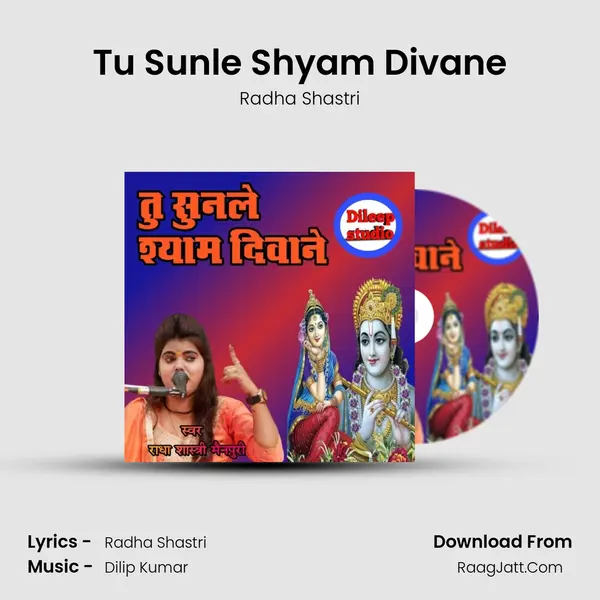 Tu Sunle Shyam Divane mp3 song