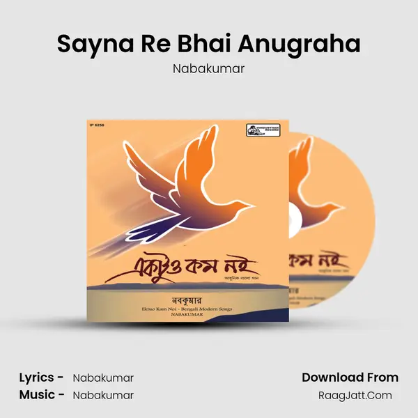 Sayna Re Bhai Anugraha MP3 Song by Nabakumar Cover