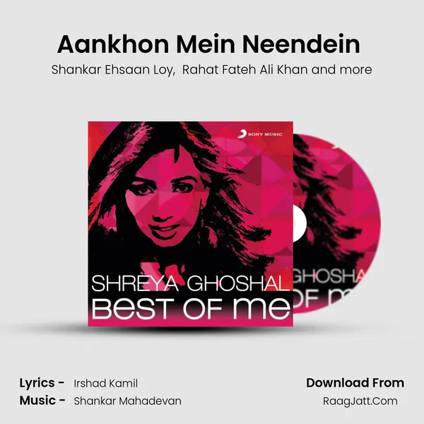 Aankhon Mein Neendein (From "We Are Family") Cover