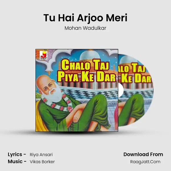 Tu Hai Arjoo Meri MP3 Song by Mohan Wadulkar Cover