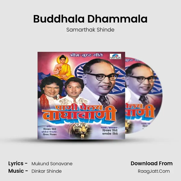 Buddhala Dhammala MP3 Song by Samarthak Shinde Cover