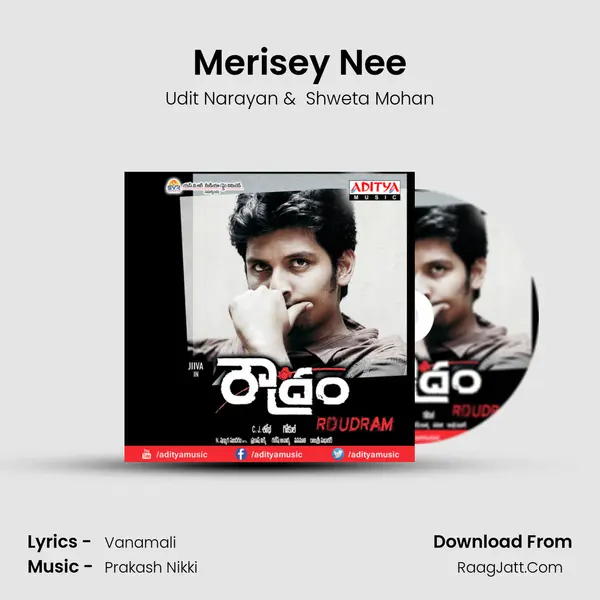 Merisey Nee MP3 Song by Udit Narayan Cover