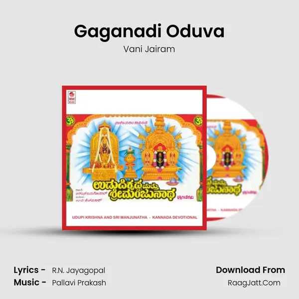 Gaganadi Oduva MP3 Song by Vani Jairam Cover