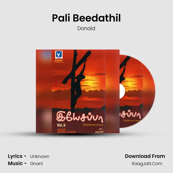 Pali Beedathil MP3 Song by Donald Cover