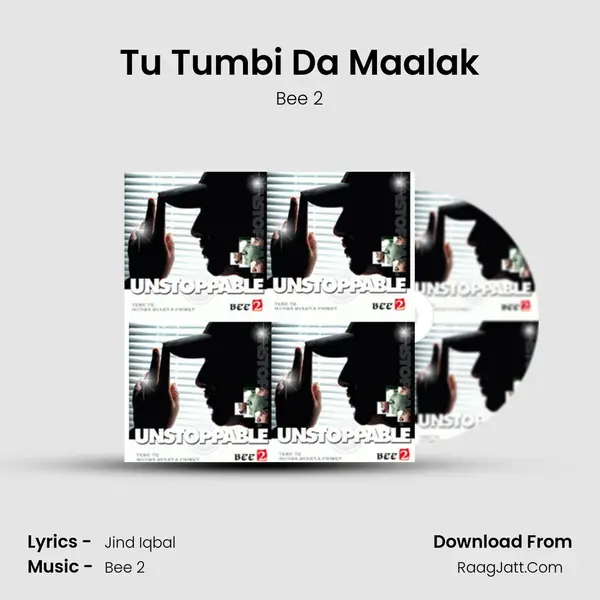 Tu Tumbi Da Maalak MP3 Song by Bee 2 Cover