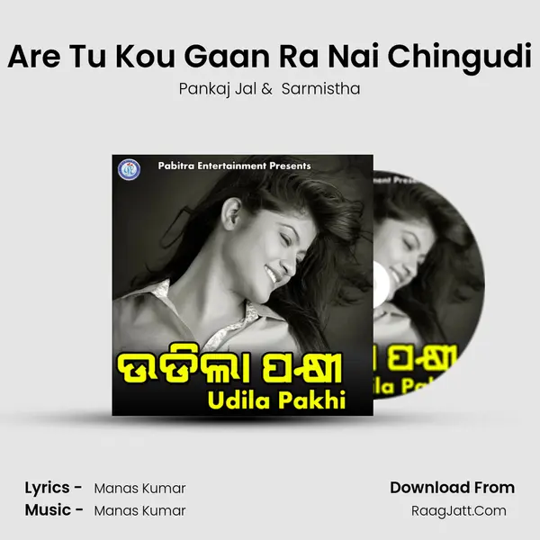 Are Tu Kou Gaan Ra Nai Chingudi MP3 Song by Pankaj Jal Cover
