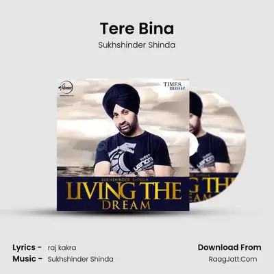 Tere Bina MP3 Song by Sukhshinder Shinda Cover