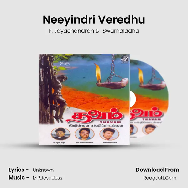 Neeyindri Veredhu MP3 Song by P. Jayachandran Cover