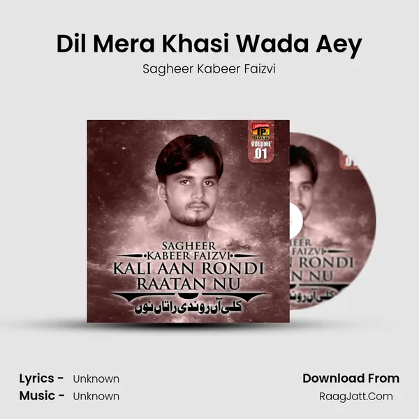 Dil Mera Khasi Wada Aey MP3 Song by Sagheer Kabeer Faizvi Cover