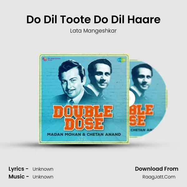 Do Dil Toote Do Dil Haare Cover