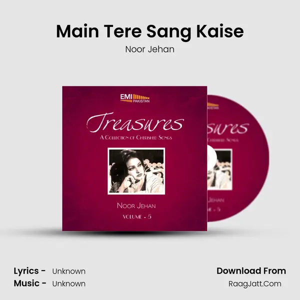 Main Tere Sang Kaise Cover