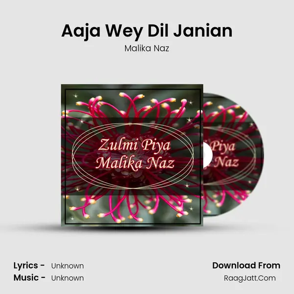Aaja Wey Dil Janian MP3 Song by Malika Naz Cover