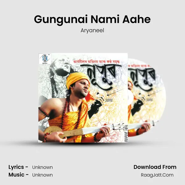 Gungunai Nami Aahe MP3 Song by Aryaneel Cover