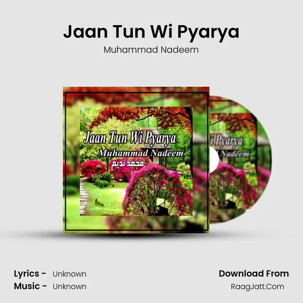 Jaan Tun Wi Pyarya MP3 Song by Muhammad Nadeem Cover