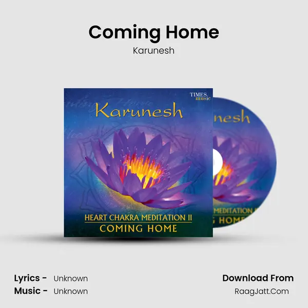 Coming Home MP3 Song by Karunesh Cover