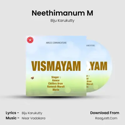Neethimanum M MP3 Song by Biju Karukutty Cover