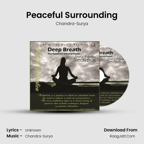 Peaceful Surrounding MP3 Song by Chandra-Surya Cover