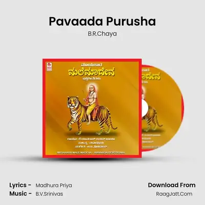 Pavaada Purusha MP3 Song by B.R.Chaya Cover