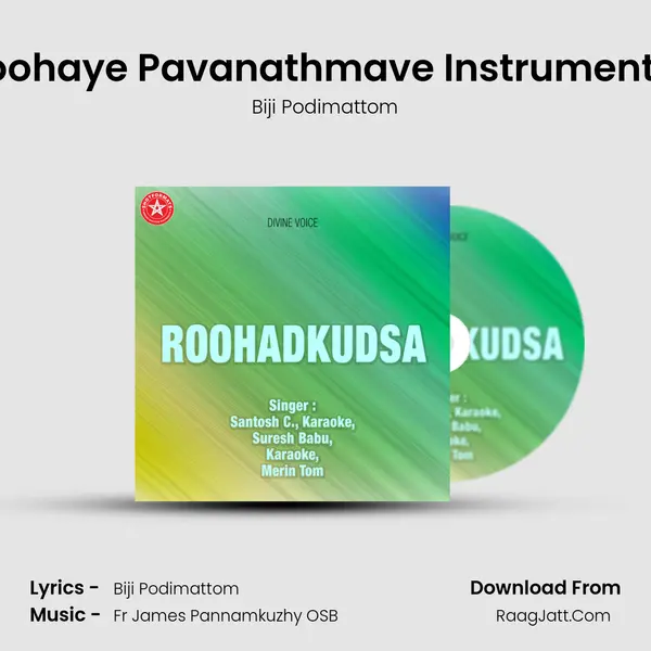 Roohaye Pavanathmave Instrumental MP3 Song by Biji Podimattom Cover