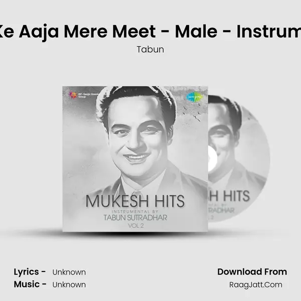 Laut Ke Aaja Mere Meet - Male - Instrumental MP3 Song by Tabun Cover
