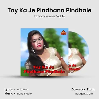 Toy Ka Je Pindhana Pindhale MP3 Song by Pandav Kumar Mahto Cover
