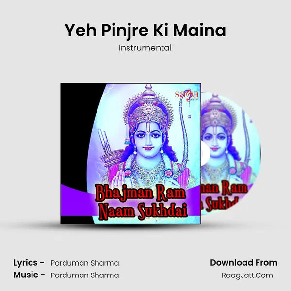 Yeh Pinjre Ki Maina MP3 Song by Instrumental Cover