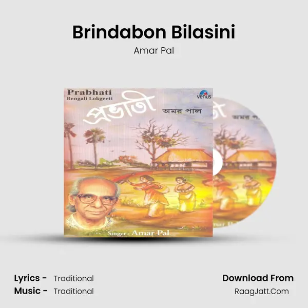 Brindabon Bilasini MP3 Song by Amar Pal Cover