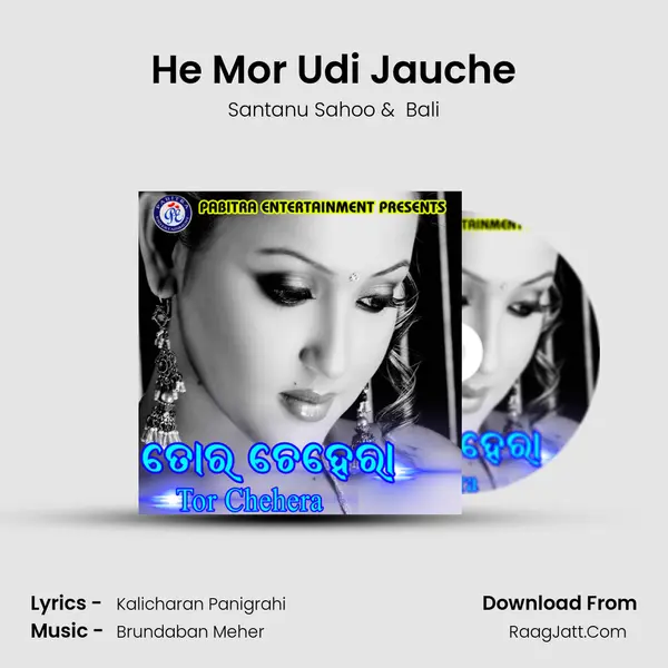 He Mor Udi Jauche MP3 Song by Santanu Sahoo Cover