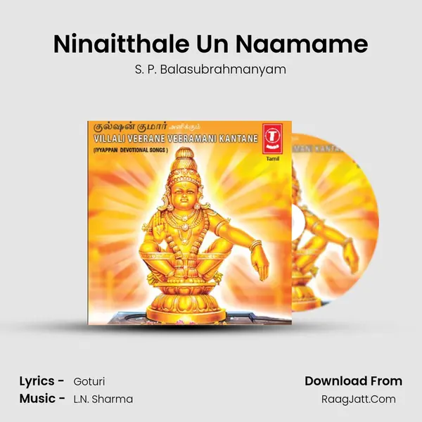 Ninaitthale Un Naamame MP3 Song by S. P. Balasubrahmanyam Cover