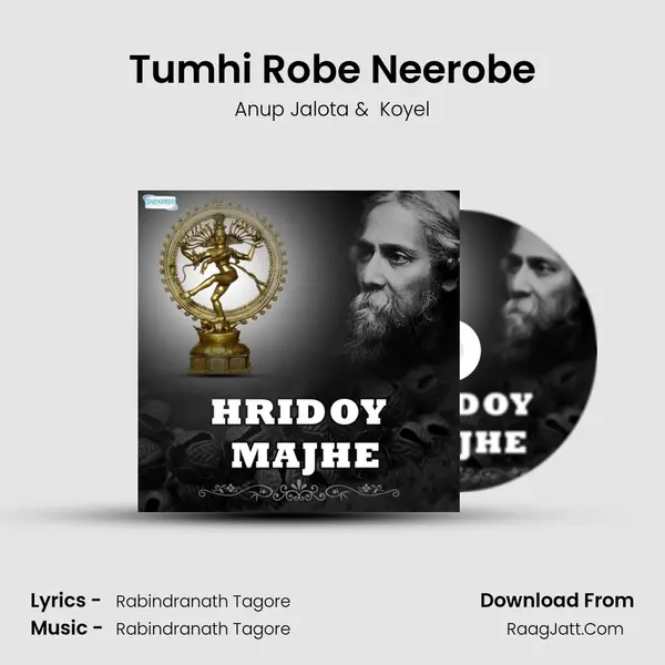 Tumhi Robe Neerobe MP3 Song by Anup Jalota Cover