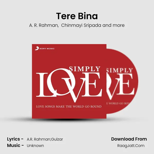 Tere Bina Cover