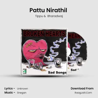 Pattu Nirathil (From "Enge Enathu Kavithai") Cover