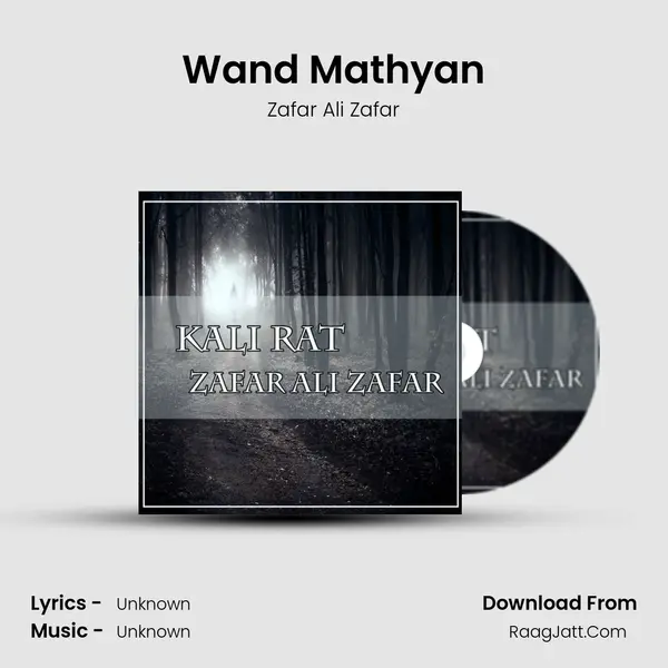 Wand Mathyan MP3 Song by Zafar Ali Zafar Cover