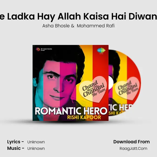 Ye Ladka Hay Allah Kaisa Hai Diwana Cover