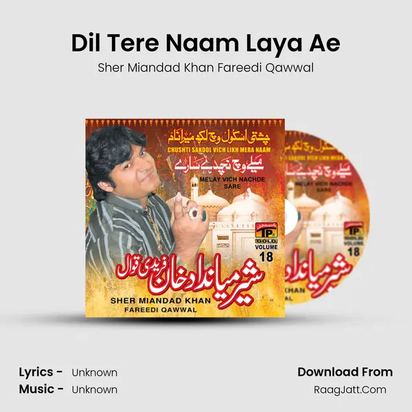 Dil Tere Naam Laya Ae MP3 Song by Sher Miandad Khan Fareedi Qawwal Cover