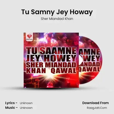Tu Samny Jey Howay MP3 Song by Sher Miandad Khan Cover