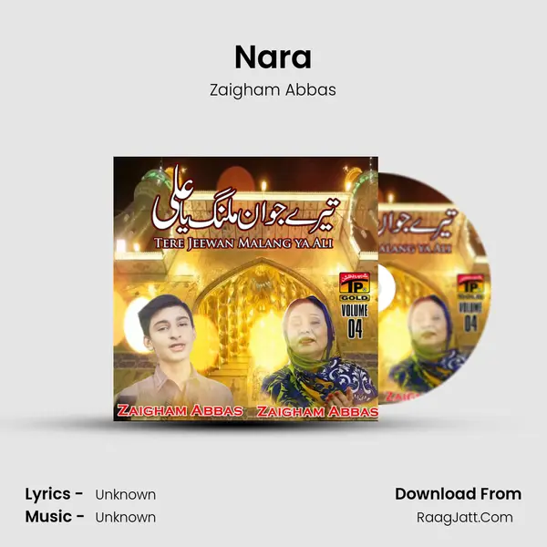Nara MP3 Song by Zaigham Abbas Cover