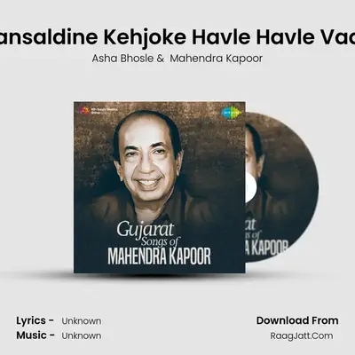 Vansaldine Kehjoke Havle Havle Vaay MP3 Song by Asha Bhosle Cover