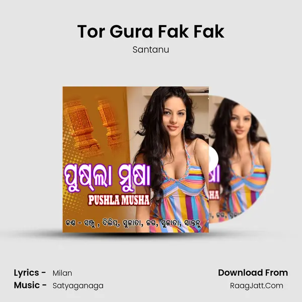 Tor Gura Fak Fak MP3 Song by Santanu Cover